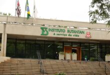 Butantan inicia pesquisa de vacina contra gripe aviária