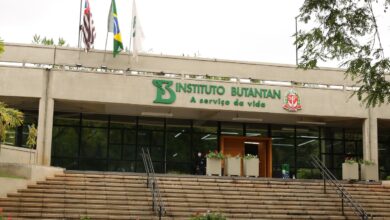 Butantan inicia pesquisa de vacina contra gripe aviária