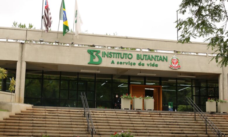 Butantan inicia pesquisa de vacina contra gripe aviária