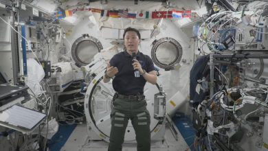 NASA prepara astronautas para missão de volta com 'kimchi' na ISS