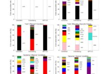 LLM revela limitações no “ olhar” sobre cores como o vermelho