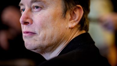 Elon Musk provoca debate sobre cultura em tecnologia e gênero