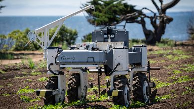 Bonsai desenvolve robôs autônomos para agricultura moderna
