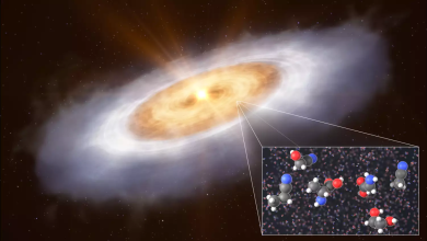 NASA descobre moléculas orgânicas em disco protoplanetário