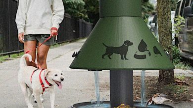 Jalashay transforma acesso à água para animais com design sustentável