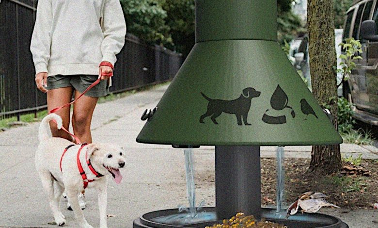 Jalashay transforma acesso à água para animais com design sustentável