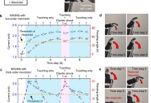 Rede neural faz mão robótica sentir dor e ignorar toque leve