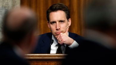 Josh Hawley diz que cheques de reembolso não vão a 'eleitores de Biden'