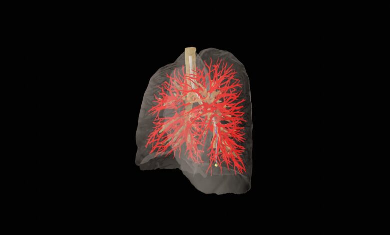Modelos de AI aprimoram manuseio de agulhas médicas