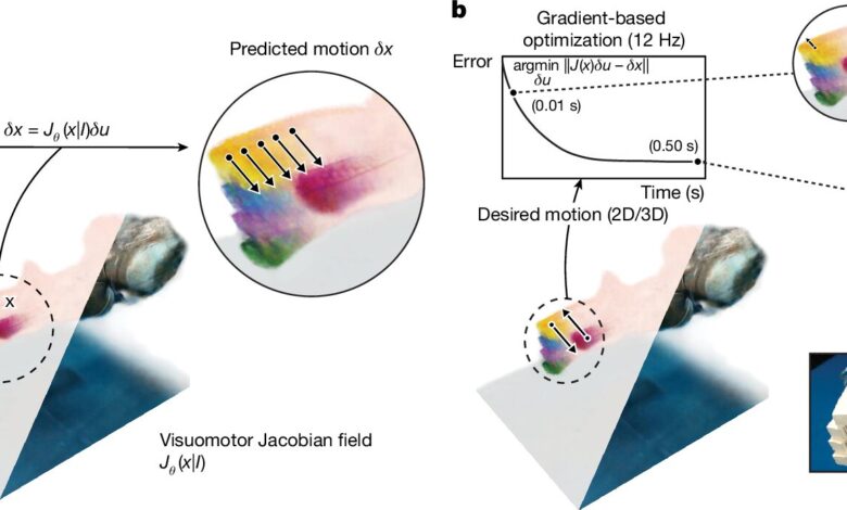 Deep learning ensina robôs bioinspirados a se mover com câmera