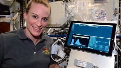 NASA despedida da astronauta que sequenciou DNA no espaço