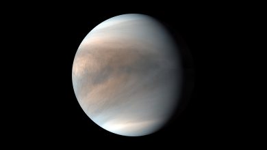 Satélites da NASA descobrem Venus por acidente durante missão