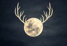 NASA observa a 'Buck Moon' enquanto orbita a Terra