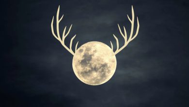 NASA observa a 'Buck Moon' enquanto orbita a Terra
