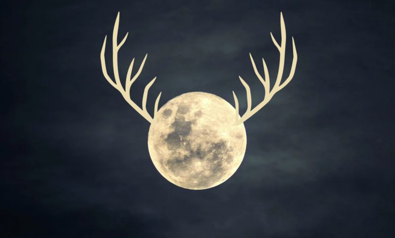NASA observa a 'Buck Moon' enquanto orbita a Terra