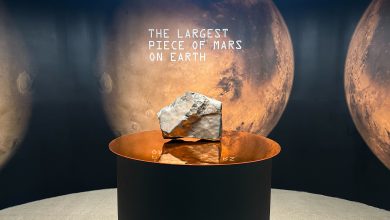 NASA coloca maior rocha de Marte à venda em leilão em NYC