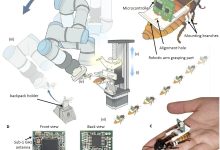 Robô com AI monta insetos ciborgues para resgate