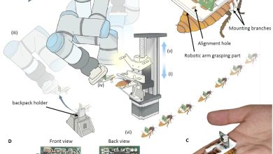 Robô com AI monta insetos ciborgues para resgate