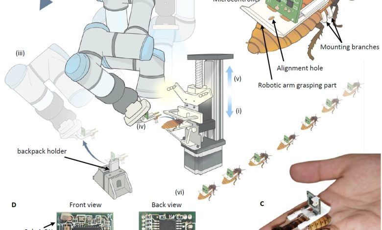 Robô com AI monta insetos ciborgues para resgate