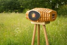 Seed Stories cria instalação artística que abriga abelhas