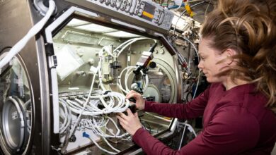 NASA astronauta realiza experimento em microgravidade