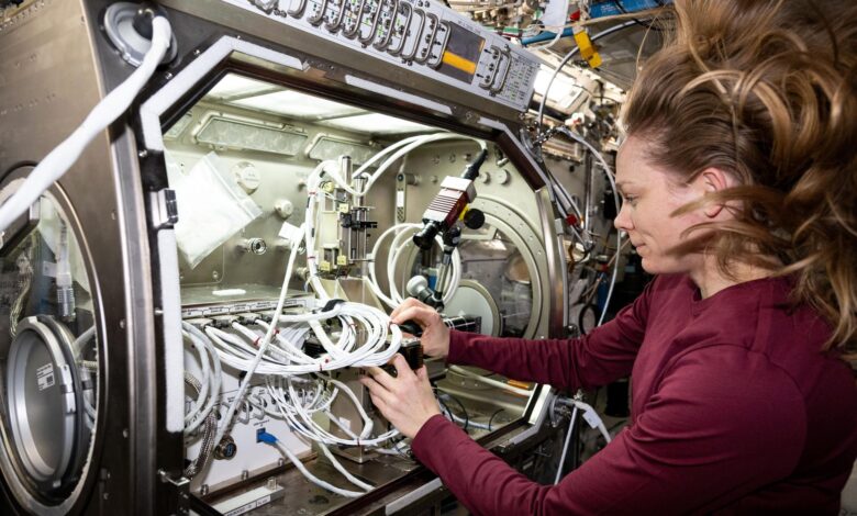 NASA astronauta realiza experimento em microgravidade