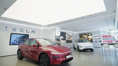 Tesla perde apelo na Índia apesar de entregas de Musk