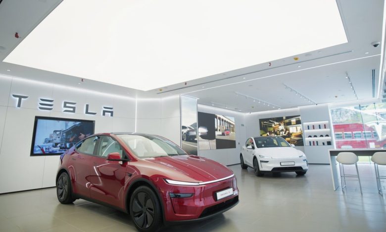 Tesla perde apelo na Índia apesar de entregas de Musk