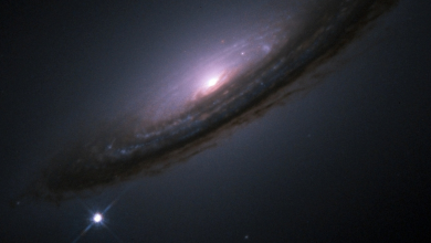 NASA revela notícias sobre supernovas e o universo escuro
