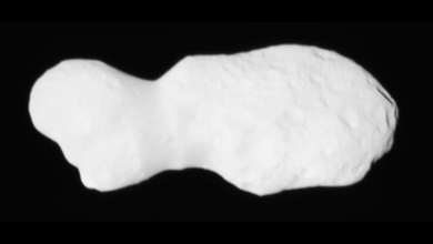NASA revela imagem detalhada do asteroide Donaldjohanson