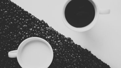 Python e R testam validação de modelos de machine learning