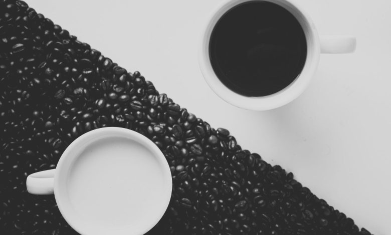 Python e R testam validação de modelos de machine learning