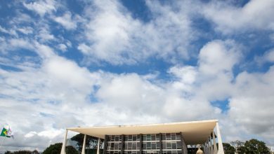 STF veta repatriação imediata de crianças ao exterior