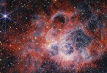 NASA descobre galáxias 'Sleeping Beauty' em órbita antiga