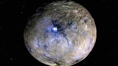 NASA revela que Ceres pode ter abrigado vida em órbita