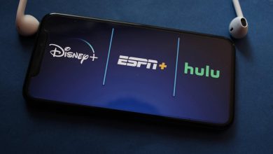 Hulu enfrenta desafios e pode deixar de existir como app