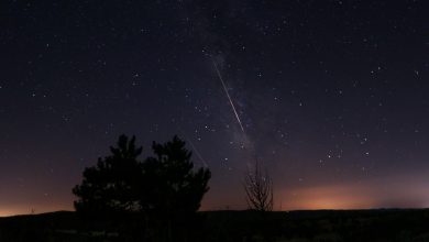 NASA observa pico da chuva de meteoros Perseidas em 2025