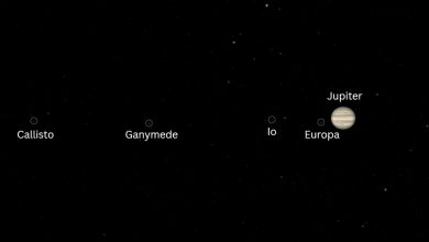 Jupiter e suas luas promovem desfile no céu em 8 de agosto