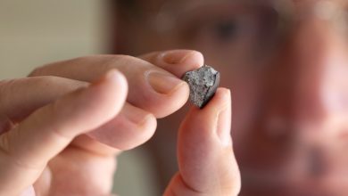 NASA investiga meteorito que atravessou telhado na Geórgia
