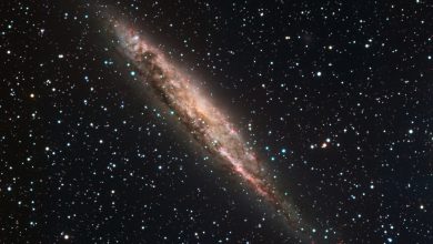 NASA descobre novo objeto espacial fora das categorias conhecidas