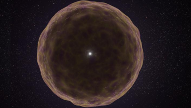 Astrônomos descobrem supernova estranha e sua órbita