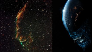 NASA captura imagem da Nebulosa do Véu com 'Alien' Xenomorph