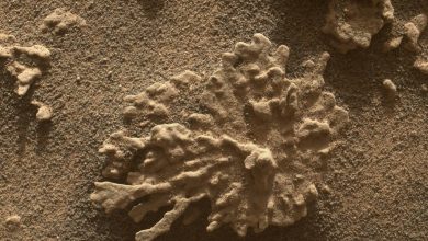 NASA celebra 13 anos do rover Curiosity em Marte