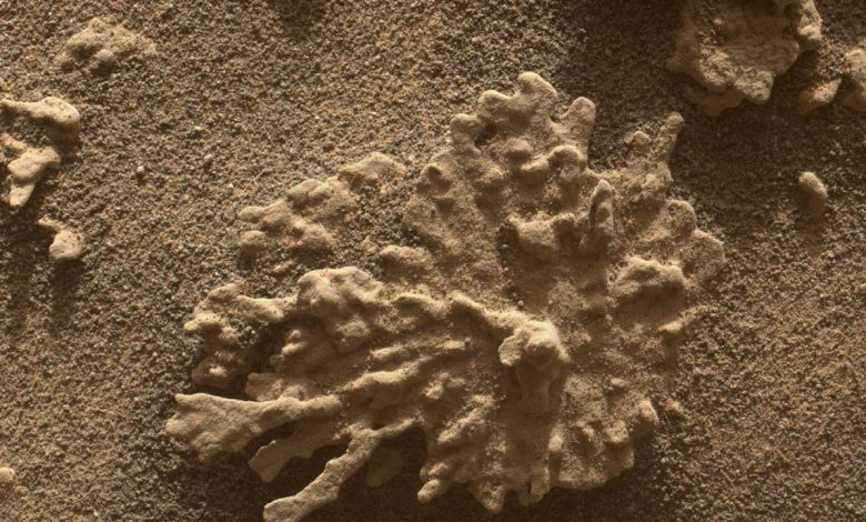 NASA celebra 13 anos do rover Curiosity em Marte
