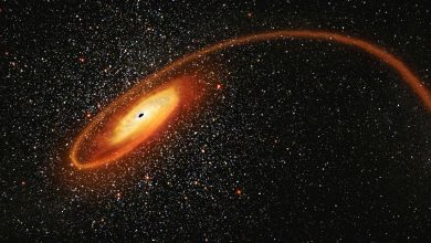 Astrônomos descobrem buracos negros intermediários a 1.000 km
