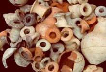 Archaeologists Find Residues of Aromatic Oils in Phoenicians Bottles
