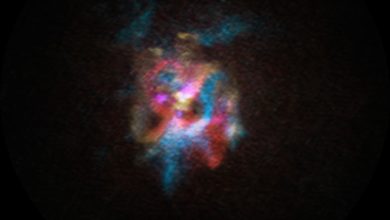 Astronomers Discover Exotic Red Supergiant Star