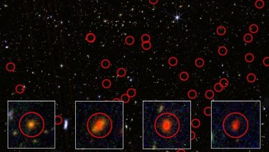 NASA descobre 300 objetos luminosos em órbita distante