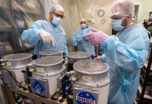 Rússia lança 75 camundongos e 1.000 moscas em missão espacial