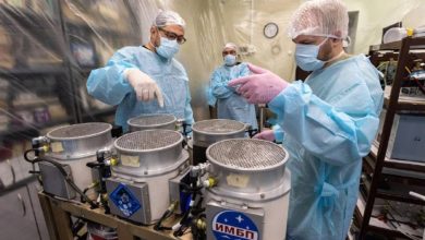 Rússia lança 75 camundongos e 1.000 moscas em missão espacial